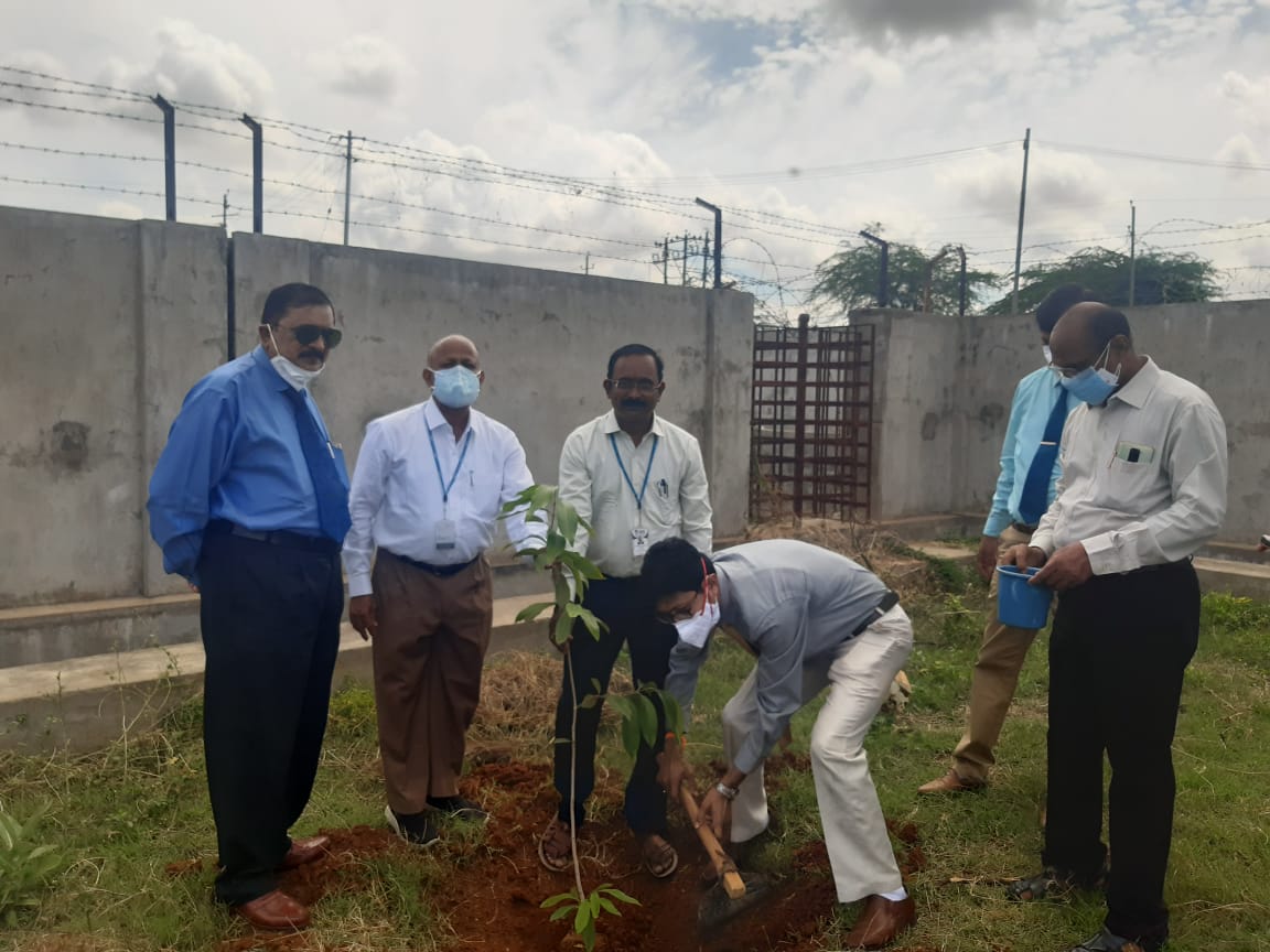 World Environment Day at Navodaya College of Education